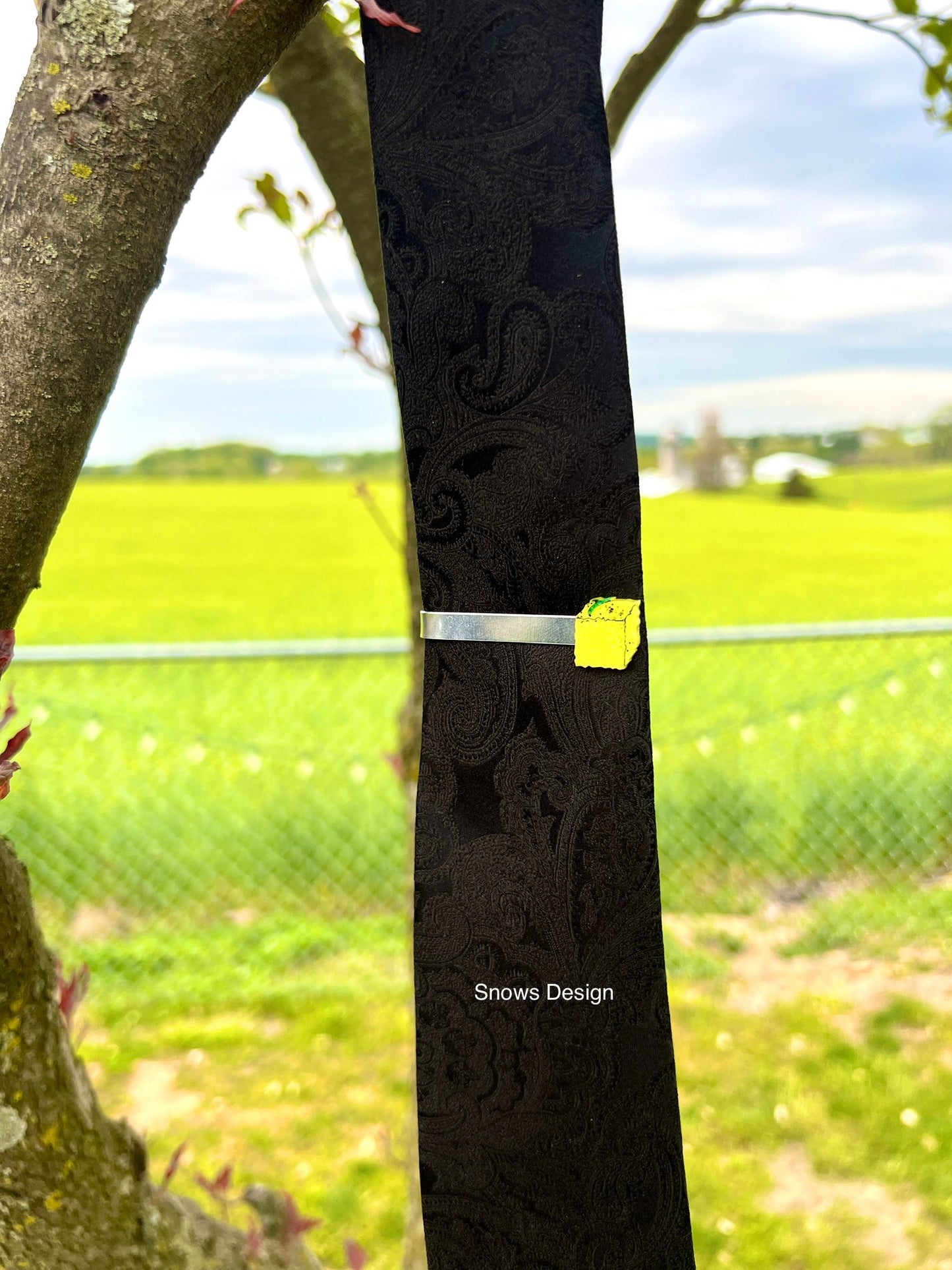 Desi Khana Tie Clips